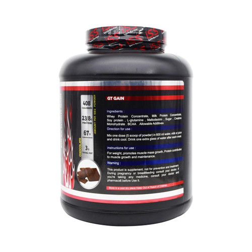 پودر جی تی گین شکلات 12000گرم ISS در فروشگاه اینترنتی ویانا طب www.vianateb.ir