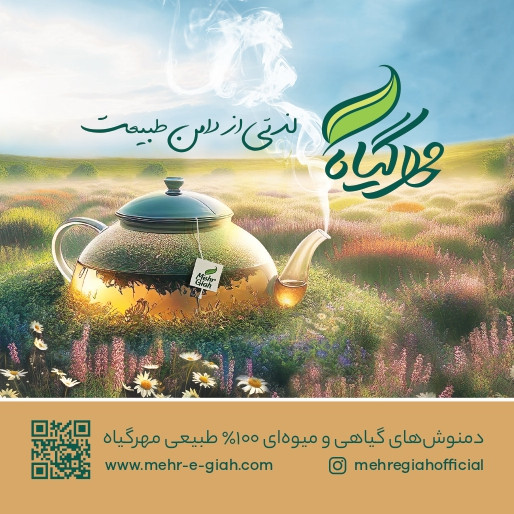 دمنوش سلامت حاوی اکیناسه 14عددی خرید از فروشگاه اینترنتی ویاناطب www.vianateb.ir