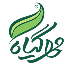 دمنوش سلامت حاوی اکیناسه 16عددی خرید از فروشگاه اینترنتی ویاناطب www.vianateb.ir