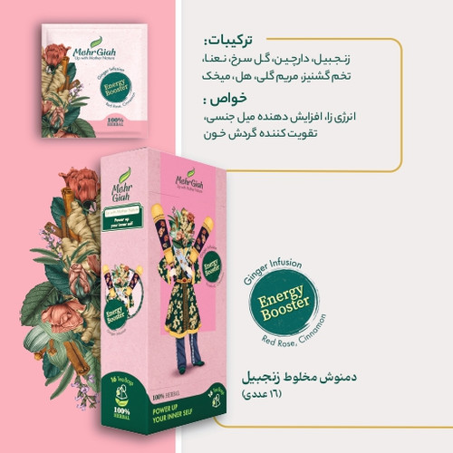 دمنوش مخلوط زنجبیل (دمنوش انرژی) 16 عددی خرید از فروشگاه اینترنتی ویاناطب www.vianateb.ir