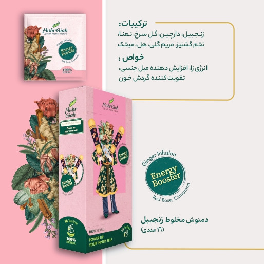 دمنوش مخلوط زنجبیل (دمنوش انرژی) 16 عددی خرید از فروشگاه اینترنتی ویاناطب www.vianateb.ir
