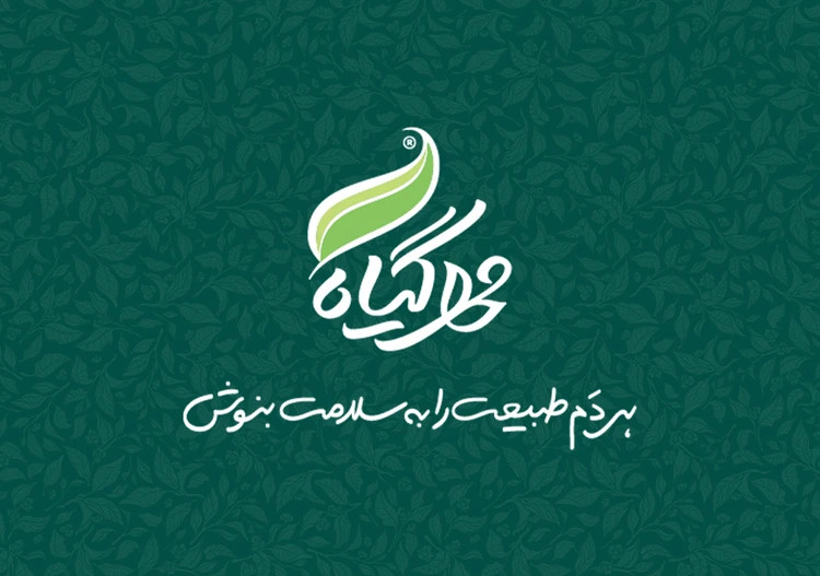 دمنوش مخلوط چای سبز و زنجبیل مهرگیاه خرید از فروشگاه اینترنتی ویاناطب www.vianateb.ir